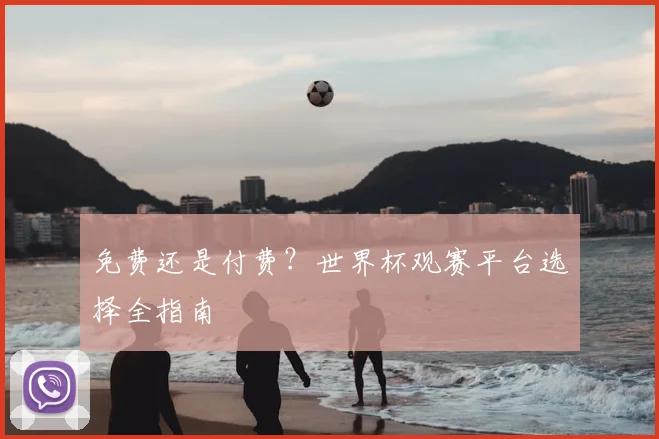 免费还是付费?世界杯观赛平台选择全指南