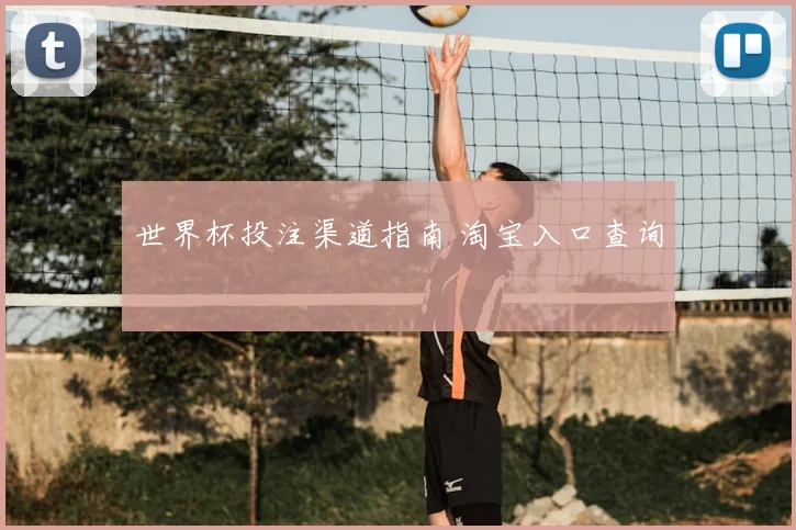 世界杯投注渠道指南 淘宝入口查询