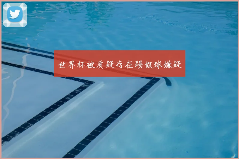 世界杯被质疑存在踢假球嫌疑