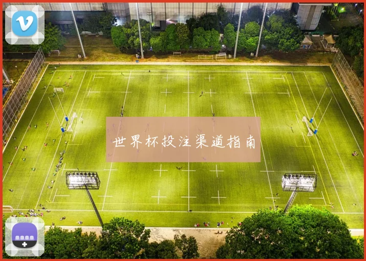 世界杯投注渠道指南