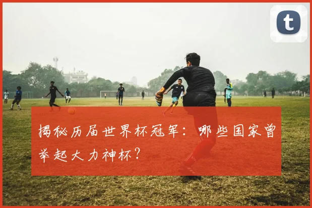 揭秘历届世界杯冠军：哪些国家曾举起大力神杯？