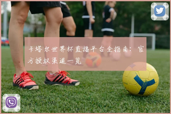 卡塔尔世界杯直播平台全指南：官方授权渠道一览