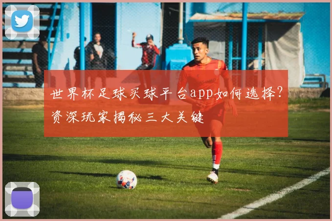 世界杯足球买球平台app如何选择？资深玩家揭秘三大关键