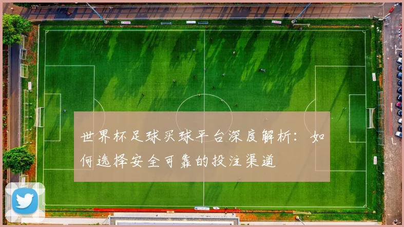 世界杯足球买球平台深度解析：如何选择安全可靠的投注渠道