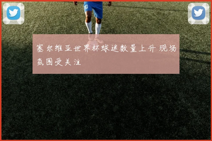 塞尔维亚世界杯球迷数量上升 现场氛围受关注
