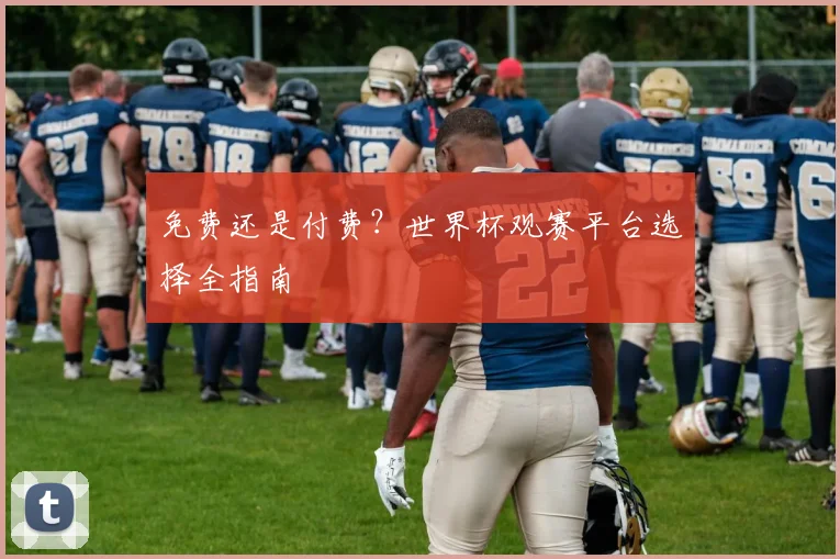 免费还是付费？世界杯观赛平台选择全指南