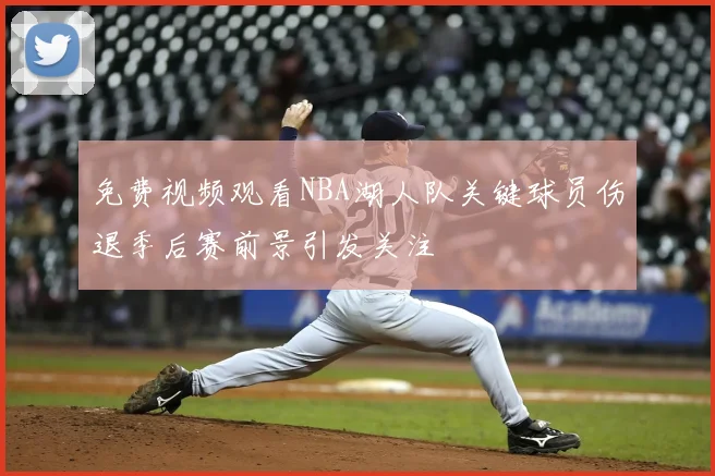 免费视频观看NBA湖人队关键球员伤退季后赛前景引发关注