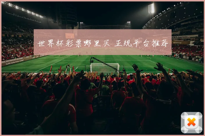 世界杯彩票哪里买 正规平台推荐