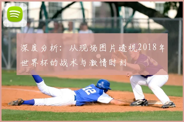 深度分析：从现场图片透视2018年世界杯的战术与激情时刻
