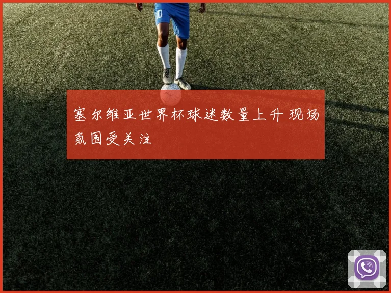 塞尔维亚世界杯球迷数量上升 现场氛围受关注