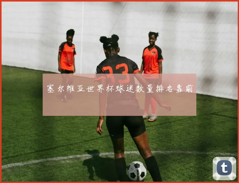 塞尔维亚世界杯球迷数量排名靠前