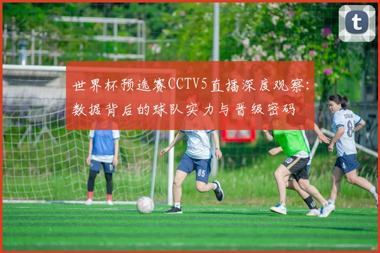 世界杯预选赛CCTV5直播深度观察:数据背后的球队实力与晋级密码