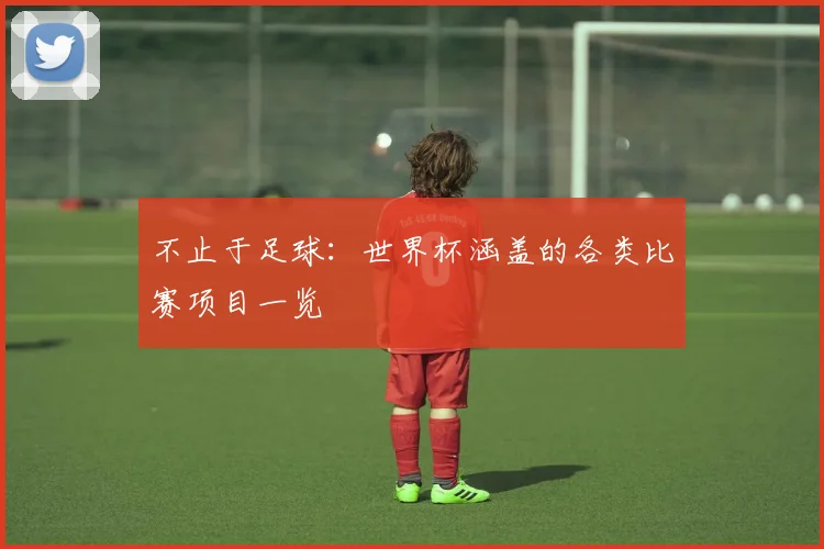不止于足球：世界杯涵盖的各类比赛项目一览