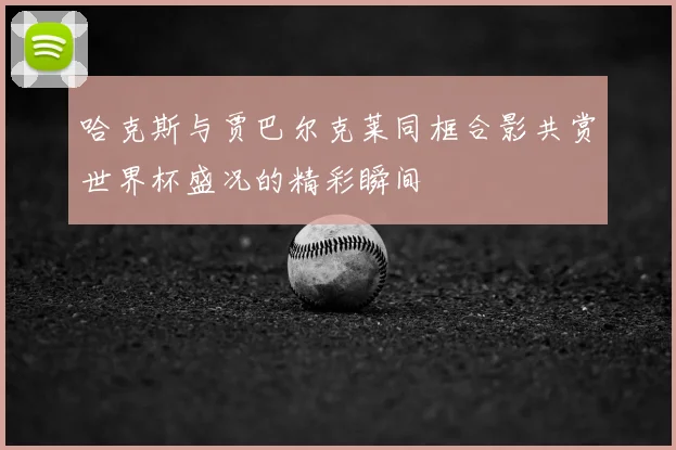 哈克斯与贾巴尔克莱同框合影共赏世界杯盛况的精彩瞬间