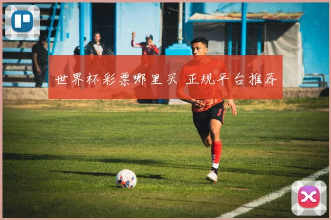 世界杯彩票哪里买 正规平台推荐